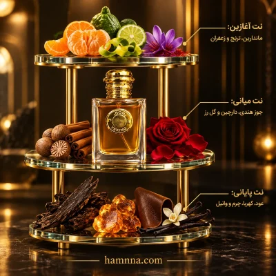 باربری گادس ویکینگ