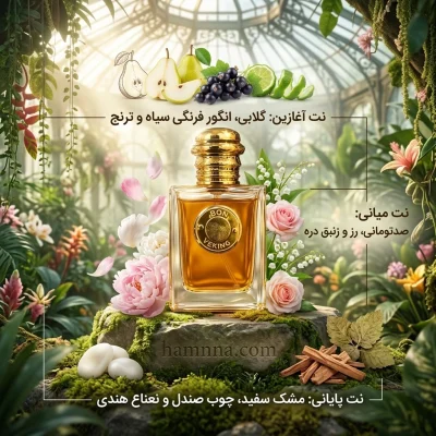 باربری گادس ویکینگ