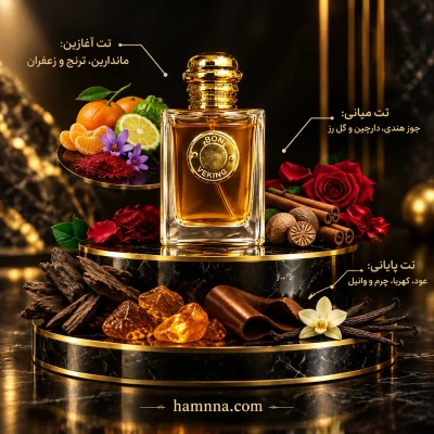 باربری گادس ویکینگ