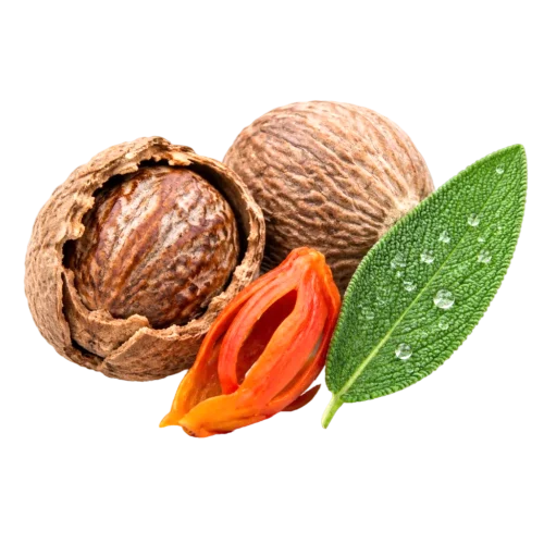 جوز هندی